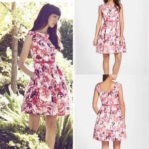 Eliza J Pink Tulip Floral Belted Print Faille Fit & Flare Dress NWT | 8